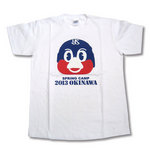 2013okinawaT.jpg
