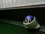 ひえこむ.jpg